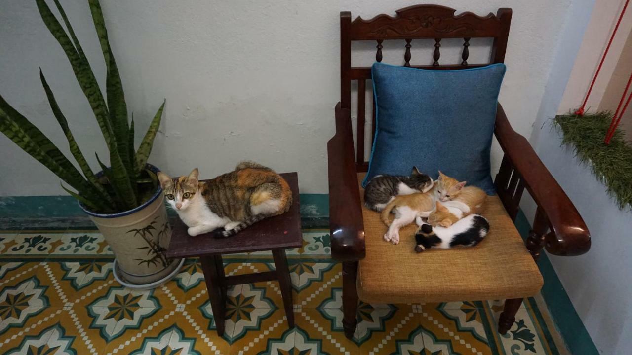Nha Homestay Дананг Екстериор снимка
