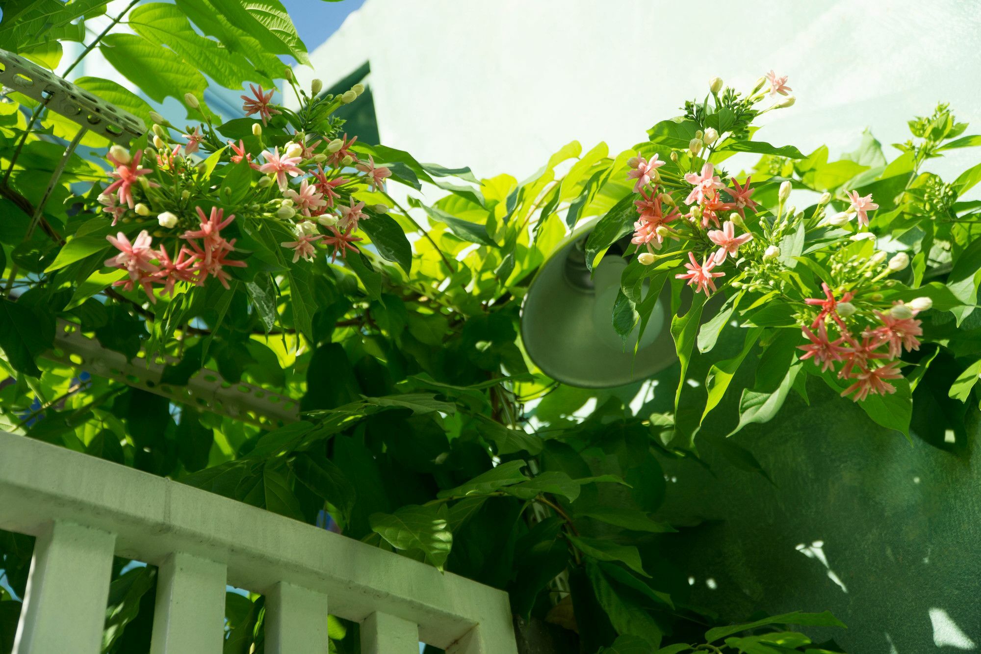 Nha Homestay Дананг Екстериор снимка